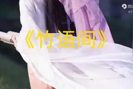 洞箫 古琴曲《竹语间》太极拳音乐完整版，醉人心弦，清心静心图片