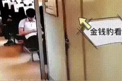 高铁上男女厕所共用吗？怎么一起出来的？图片