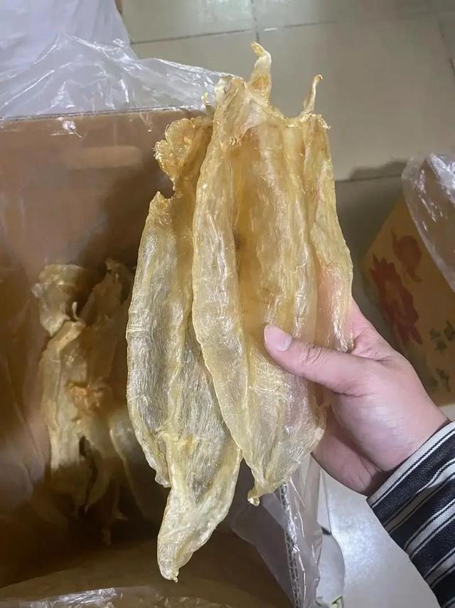 手术未拆线能吃花胶吗 2026年手术未拆线能吃花胶吗会留疤吗