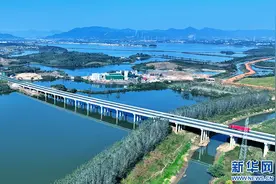武阳高速全线通车 武汉至大冶车程缩至40分钟图片