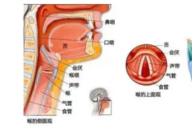 急性喉炎历险记图片