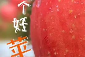 今天，聊聊苹果图片