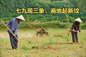 “七九现三象，遍地起新坟”，“三象”到底指啥？提醒人们早防备图片