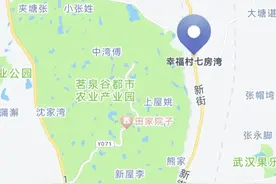 江夏区乌龙泉幸福村七房湾大变身：拆迁重建，未来可期！图片
