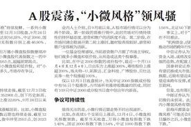 A股震荡，“小微风格”领风骚图片