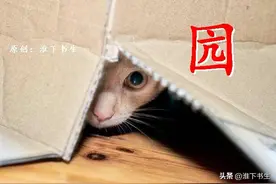 江淮方言里，囥、搛、埲、勚、朒你会写吗？（三）图片