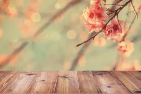 王阳明：人一生必经五劫，熬过去就是重生！读懂的人早已脱胎换骨图片