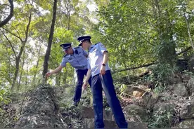 厦门公安：推动环食药侦警务运行模式蝶变升级图片
