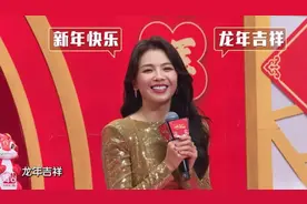 辽宁卫视春晚热度力压湖南河南安徽，但最被期待的小品却褒贬不一图片