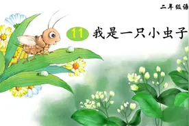 二年级下册语文，第四单元11课《我是一只小虫子》笔记+课堂解析图片