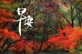 早安 | 生活既要尽心，也要随心！既要决心，也要开心！图片