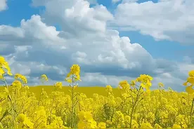 佛说：人生下来就是受苦的图片