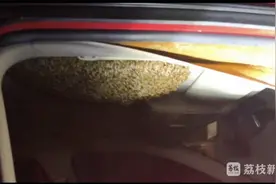 蜜蜂“霸占”轿车 一夜之间筑出大蜂巢图片