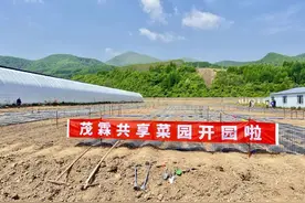 通化市二道江区：闲地再生金，“共享菜园”引来“新农人”图片