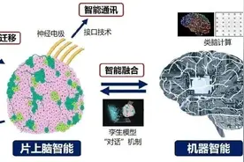 脑机接口再“进化”！我国研制成功全球首个！图片