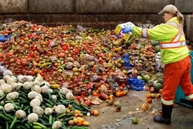 美国人有多浪费？一年扔掉全国40%的食物，大功率电器从来不关！图片
