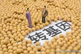 反转基因与反秸秆禁烧：一群无知者的叫嚣？图片