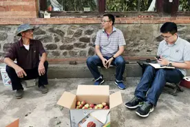 一名新华社记者眼中的京津冀协同发展十年图片