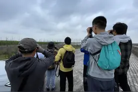 申观察｜定格“飞羽精灵 ”乐享“生态之城”！透视沪上“观鸟热”图片