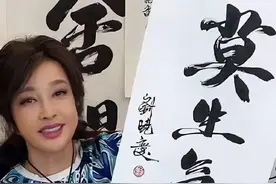 刘晓庆的“书法”之我见图片