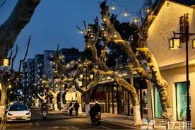 浪漫升级！苏州这条路变身“梦幻森林”图片