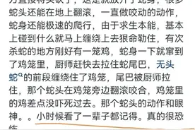 泡酒的蛇为什么隔很久都不死呢？看完网友的回复:让我恍然大悟图片