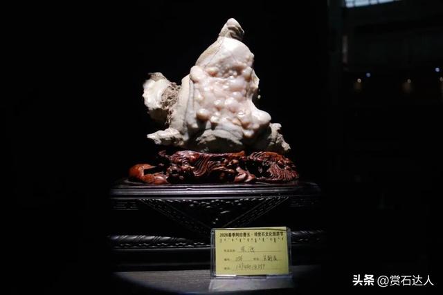 2026春季阿拉善玉·观赏石文化旅游活动盛大启幕，精品奇石欣赏