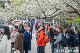 出游正当时，济南文旅集团“花”式解锁泉城春日浪漫图片