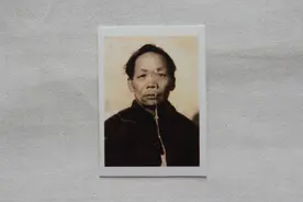 深夜遭遇黑熊图片