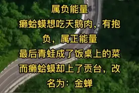 青蛙和癞蛤蟆的区别令人忍俊不禁，幽默段子，脑洞大开，值得细品图片