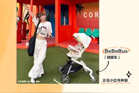 【好文分享】看一粒种子发芽——BeBeBus上新即品类销量TOP1图片