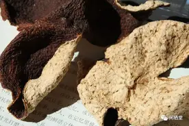 中医说陈皮茶健脾祛湿化痰 陈皮的六种搭配 记得收藏哦！图片