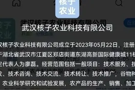 张核子，一个走在政策前面的男人图片