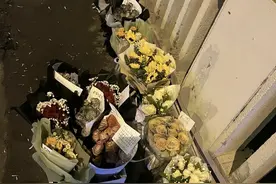胖猫 一路走好图片