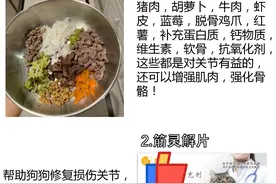 狗狗腿瘸不要谎，在家也能治！图片