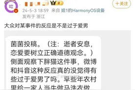重庆胖猫事件：全网都在叹息 只有共情捞女的部分人在“打”女拳图片