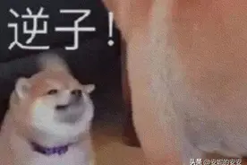 拿去用，专怼小人的阴阳句子！图片