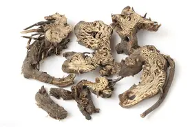 消痔疮妙方——我有一治痔疮的方子，屡用不爽，今日公之于众。图片