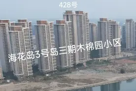 恒大海花岛又火了图片