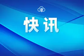 叙利亚一架飞机从雷达上消失图片