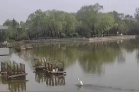 替大家试过了，想要摆脱退休后的空虚感：两个方法！图片
