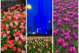 五一假期出门游玩，手机流量不够怎能行？图片