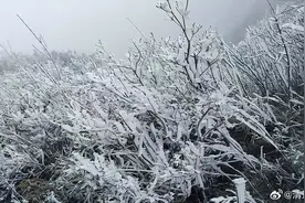 冻冻冻！广东冷到结冰，今晨或为广州今年下半年以来最冷早晨图片