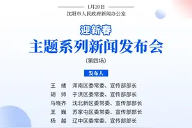 来沈阳体验地道的东北年味儿！浑南、于洪、沈北、苏家屯、辽中迎新春活动来了→图片