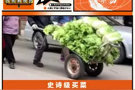 跟着东北人买白菜，谁也不许在这挨饿图片