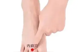 马丹阳天星十二穴 之 内庭图片