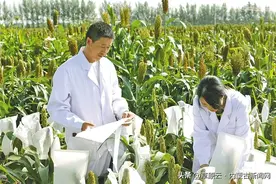 内蒙古打造“塔尖”人才集结“强磁场”图片