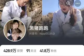 做网红很挣钱？38万粉丝的网红公开自己的收益，一起来看看吧！图片