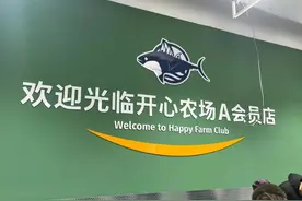铁西这个开心农场刚开，沈阳人又“陷进去”了图片