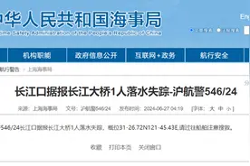 上海海事局发布2起航行警告，长江大桥、浦东白龙港污水厂码头均有人落水失踪，请过往船舶注意搜救图片